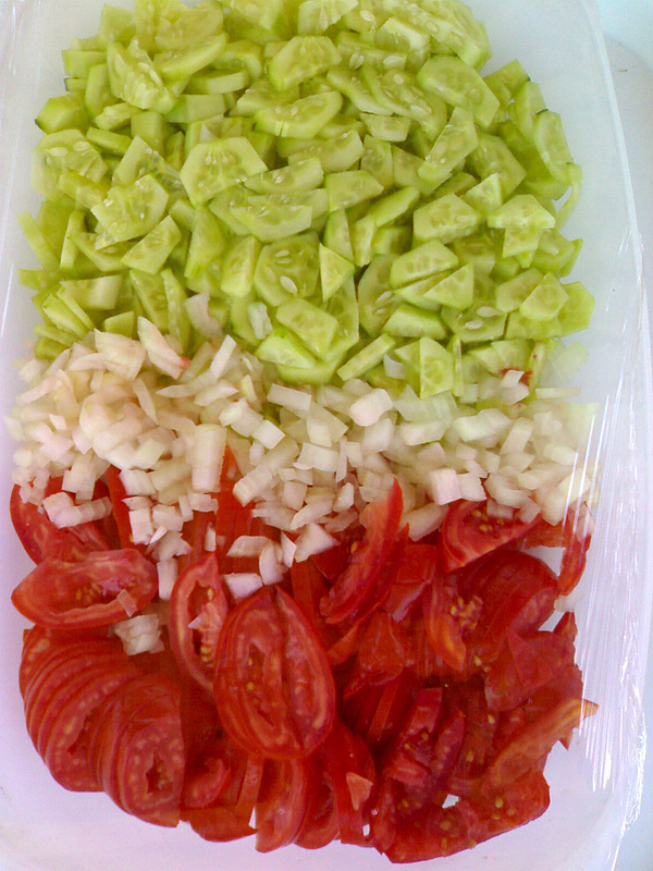 Unmixed-shirazi-salad-iran-flag