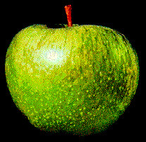 beatles apple