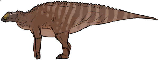 Huallasaurus australis