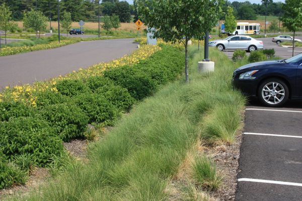 Einstein Infiltration trench