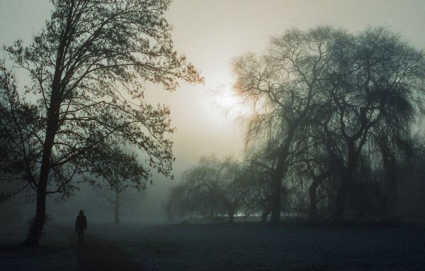 Verulamium Park Nikon F6 Cinestill film 500/800 ISO St Albans Hertfordshire