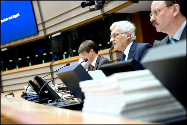 Opening of the session: Tunisia, Egypt and commemoration of Roma genocide