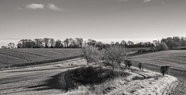 Hertfordshire Countryside