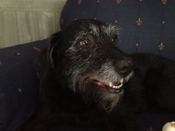 This guy is bored and tired of me being in his face. #einstein