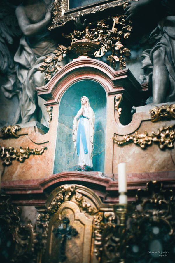 Česká republika : Brno / Czech Republic