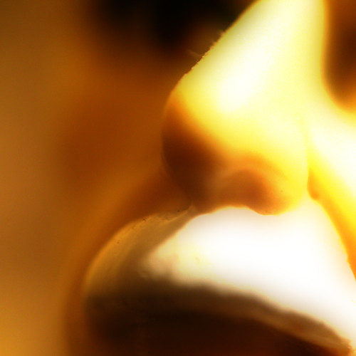 Albert Einstein Doll