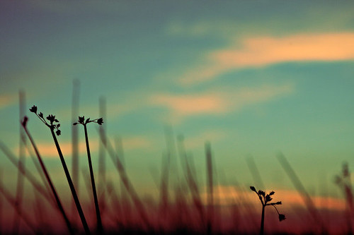 Peace cannot be kept by force. It can only be achieved by understanding. - Albert Einstein