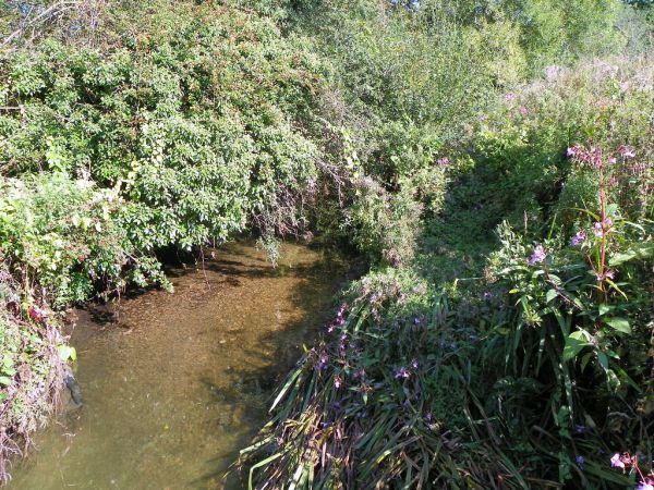 Tykes Water, Borehamwood