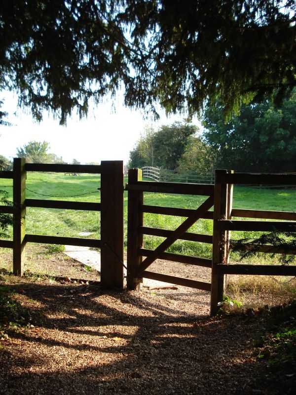 Future Openings, Pirton, Hertfordshire, England