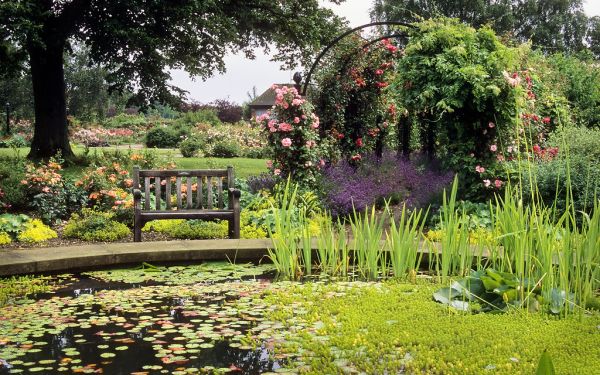 RNRS Rose Gardens - The Gardens of the Rose, Hertfordshire, UK | View of garden across central pond (10 of 12)