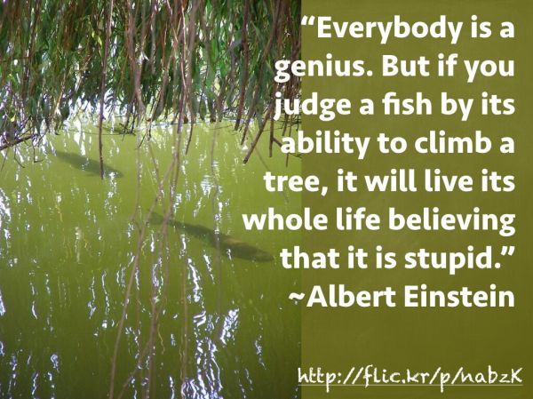 Quote: Albert Einstein