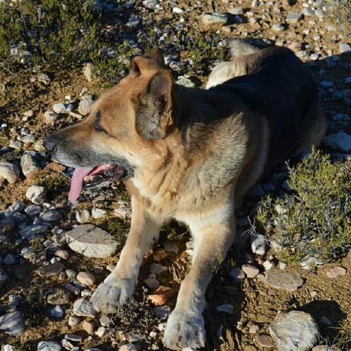 'Play is the highest form of research.' - Albert Einstein