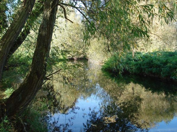 River Lea In Hertford, Hertfordshire, England