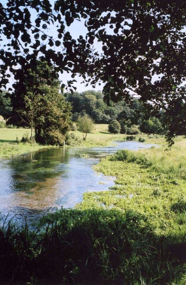 Tree Framed River Mimram, Near Hertford, Hertfordshire, England