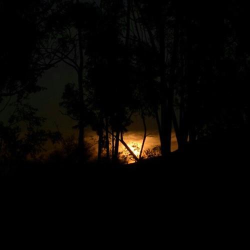 Wisdom is not a product of schooling, but of the life- long attempt to acquire it. by Albert Einstein