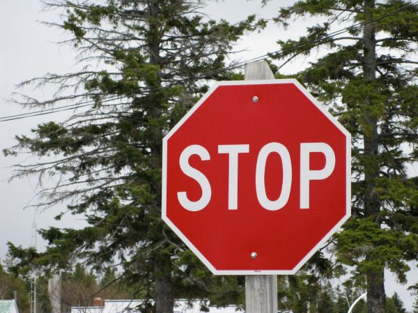 “The important thing is not to stop questioning. Curiosity has its own reason for existing.” Albert Einstein