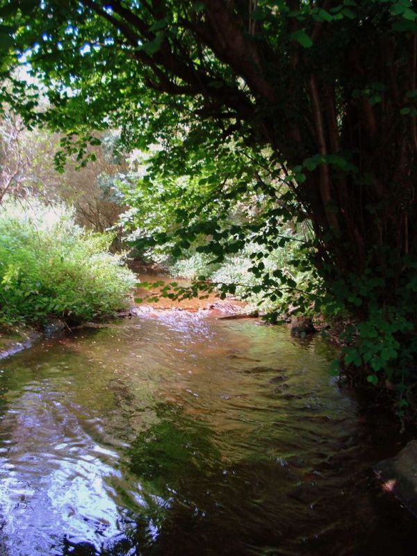 River Mimram, Fulling Mill Lane, Welwyn Village, Hertfordshire, England