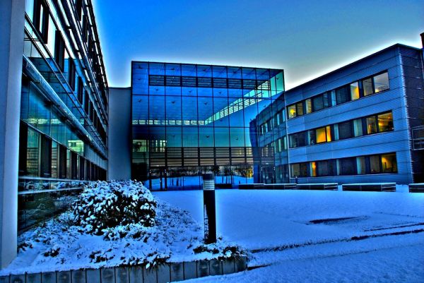 Albert Einstein Institute