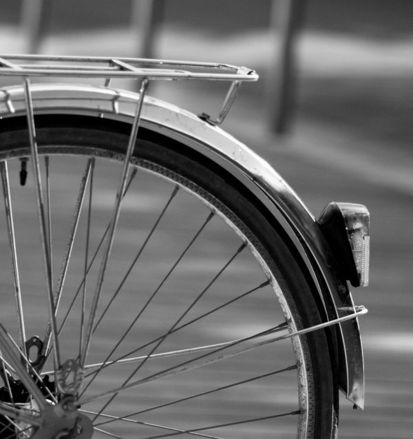 La vie, c'est comme une bicyclette, il faut avancer pour ne pas perdre l'équilibre. 'Albert Einstein'