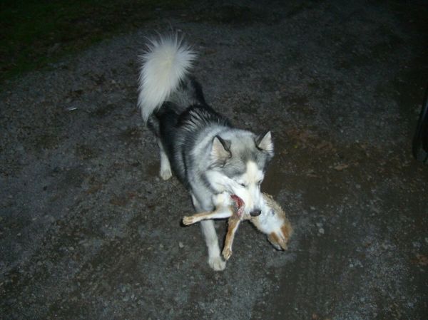 Einstein's Post Easter Feast