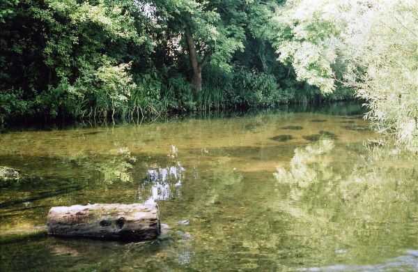 A Quiet Spot On The River Lea, Wheathampstead, Hertfordshire, England
