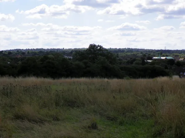 View over Borehamwood