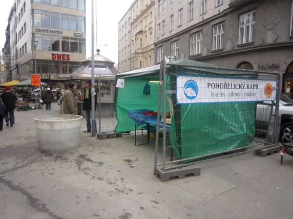 Carp sellers in Brno (carp is Czech Christmas dinner)