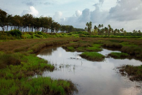 Look deep into nature, and then you will understand everything better. ~ Albert Einstein