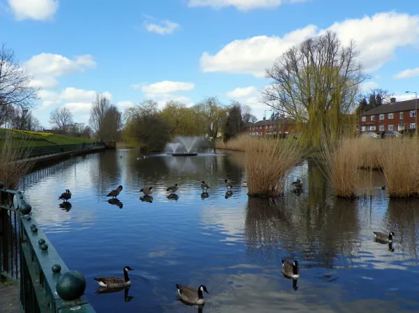 Lake in Aberford Park, Borehamwood