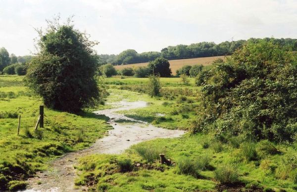 River Gade, Great Gaddesden, Hertfordshire, England
