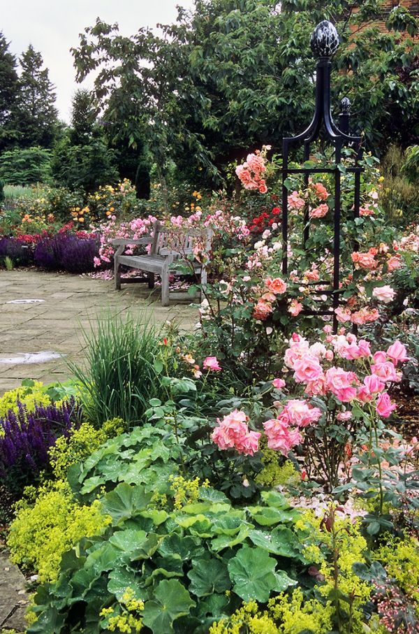 Royal National Rose Society Gardens - The Gardens of the Rose, Hertfordshire, UK | Garden seat surrounded by roses (7 of 12)