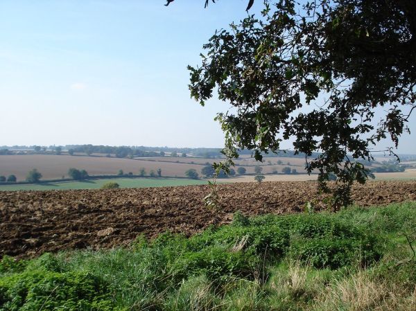 Landscape, The Holt, Hertfordshire, England