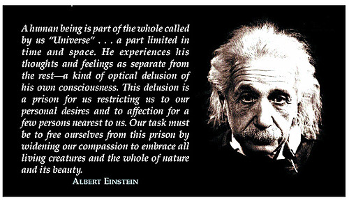 einstein quote