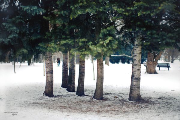 Česká republika : Brno / Czech Republic