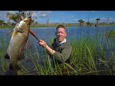 2 Weeks in Australia - Swimming with Crocodiles, Racing Rally Cars &amp; Petting Kangaroos