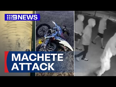 Victims speak on violent home invasion | 9 News Australia