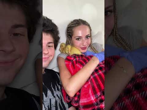 My baby’s❤️ #youtubeshorts