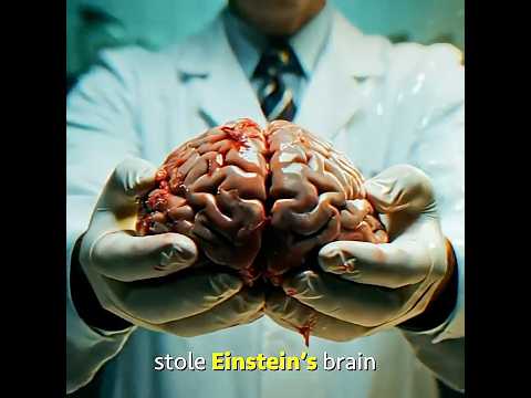 He stole Einstein's Brain...