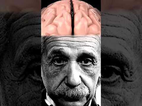 ¿Qué Hay en el Cerebro de Albert Einstein?🧠| #shorts #curiosidades #sabiasque
