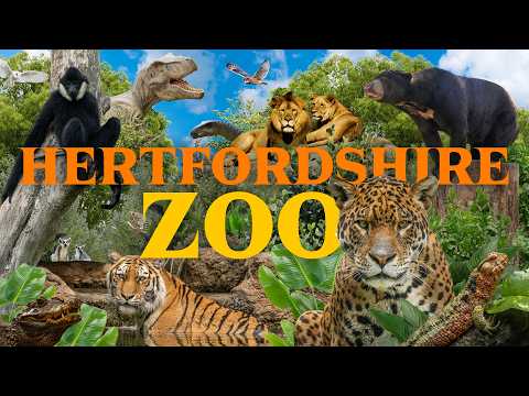 From "Worst Zoo in the UK" to Animal Paradise? | Hertfordshire Zoo Review