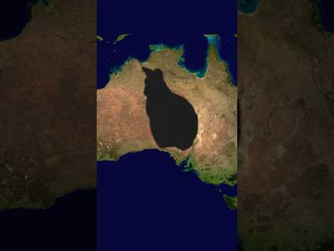 The animal that FOOLED Australia