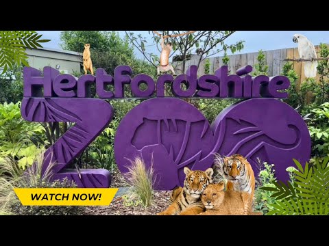 Hertfordshire Zoo | 2024 Walkthrough