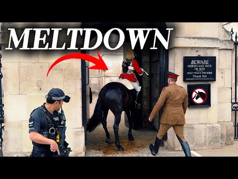 WEDNESDAY MELTDOWN- Horse Quits and Backs Out of the Box