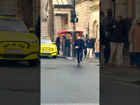 Emergency Medical - Tourist collapsed 🚨🚑️⚕️ at Horse Guards in London on 13 March 2025 #HorseGuards
